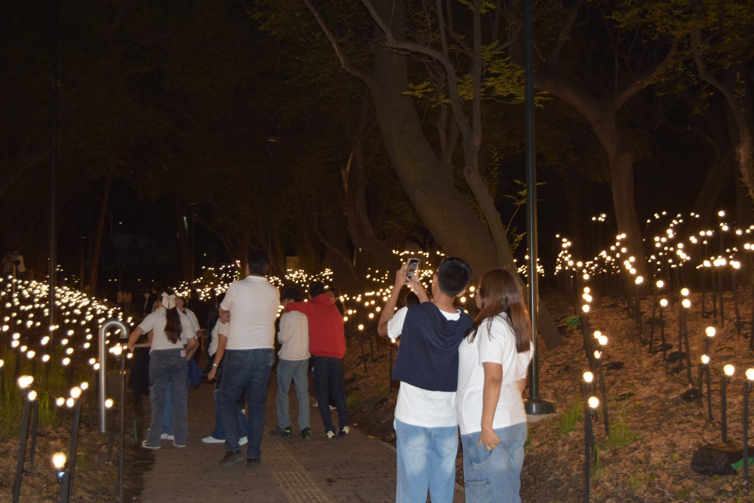 preparatoria 4